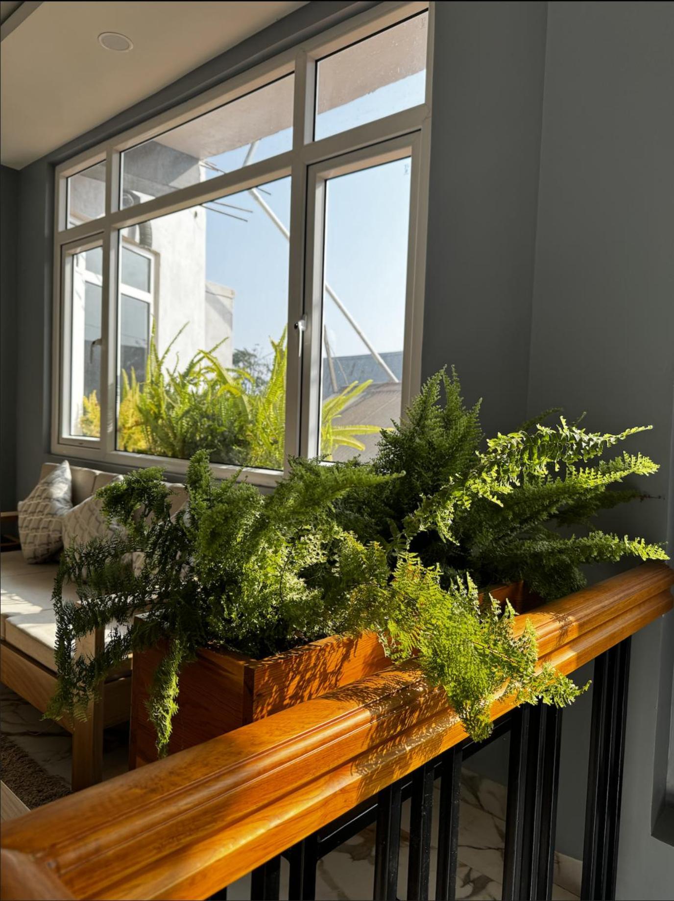 Ukhrul Magen Hills Bed & Breakfast エクステリア 写真